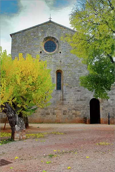Courtyard and trees of the Thoronet Abbey