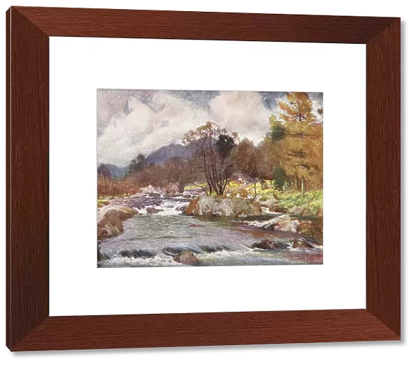 Lake District: Daffodils by the Banks of the Silvery Duddon (colour litho)