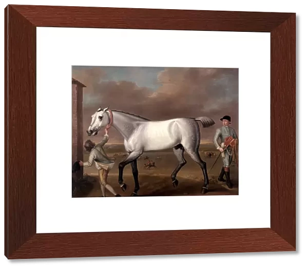 The Duke of Hamiltons Grey Racehorse, Victorious, at Newmarket signed