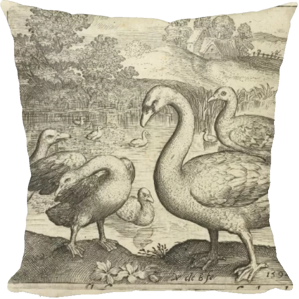 Swan and geese and ducks near the water, print maker: Nicolaes de Bruyn, Nicolaes