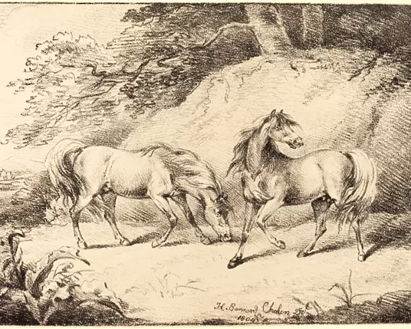 Henry Bernard Chalon, British (1770-1849), Wild Horses, 1804, crayon lithograph