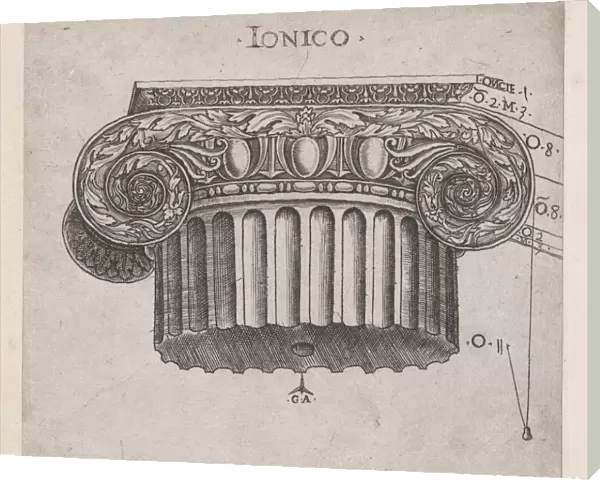 Speculum Romanae Magnificentiae Ionic capital