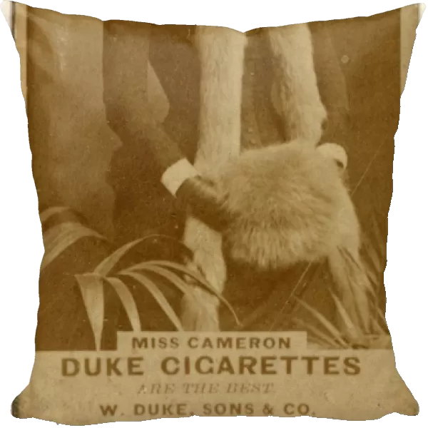 Drawings Prints, Photograph, Miss Cameron, Actors, Actresses, series, Duke, Sons, &, Co