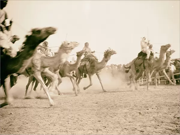Race meeting horse camel Beersheba camel race