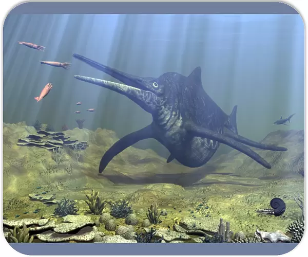 A massive Shonisaurus attempts to make a meal of a school of squid-like Belemnites
