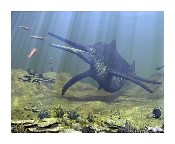 A massive Shonisaurus attempts to make a meal of a school of squid-like Belemnites