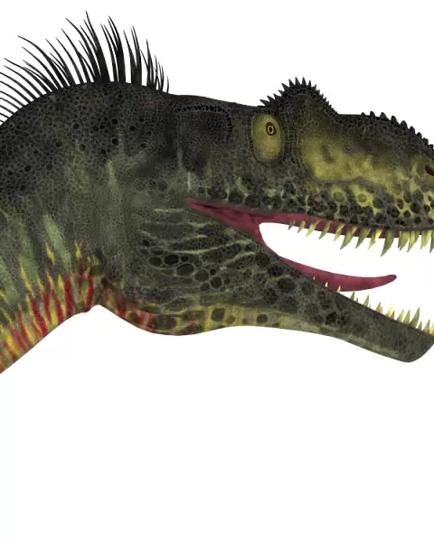 Close-up of a menacing Megalosaurus