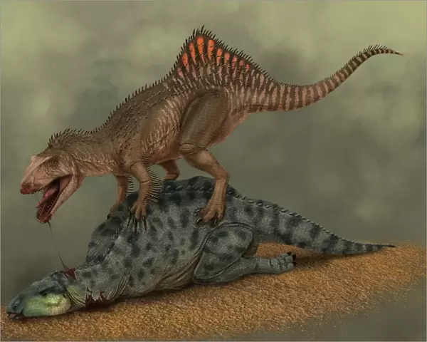 A Concavenator kills a young iguanodon dinosaur