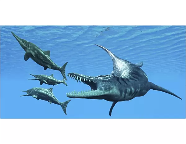 Liopleurodon reptile hunting Ichthyosaurus dinosaurs in Jurassic seas