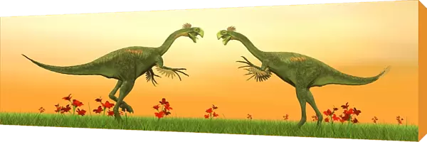 Two Gigantoraptor dinosaurs fighting on green grass by sunset