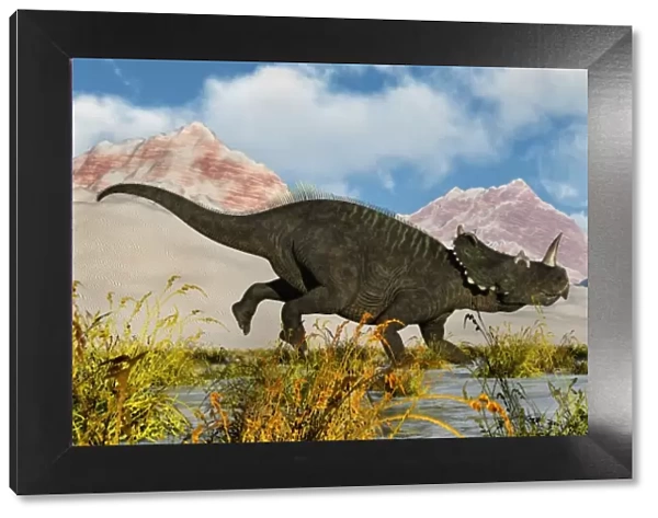 A territorial dispute between a pair of male Centrosaurus dinosaurs
