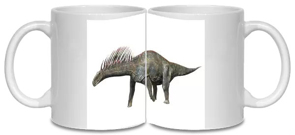 Amargasaurus is a sauropod dinosaur from the Early Cretaceous period