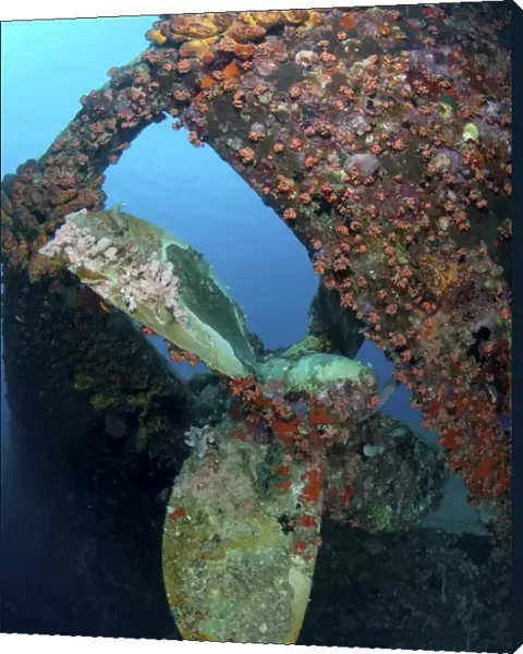 Propeller of Hilma Hooker shipwreck in Bonaire