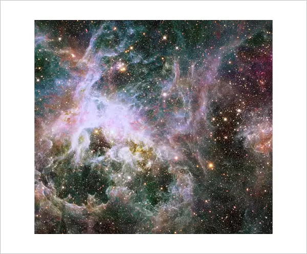 Star formation in the Tarantula Nebula