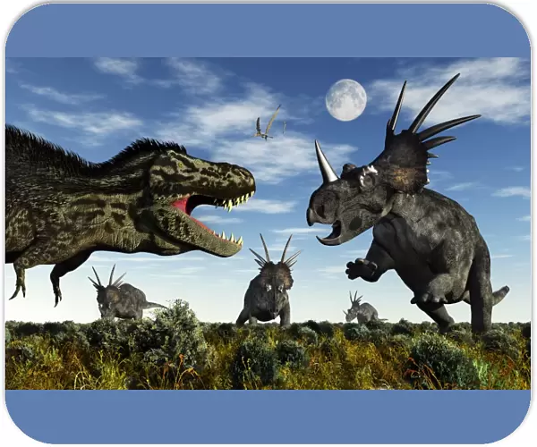 Styracosaurus dinosaurs confront a Tyrannosaurus Rex