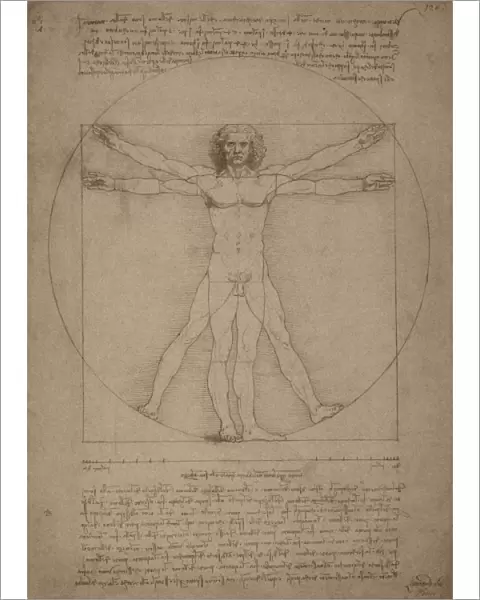 Leonardo da Vincis Vitruvian Man, circa 1490