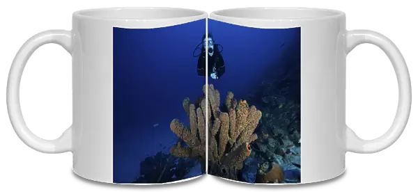 Scuba Diver swims underwater amongst sea sponges