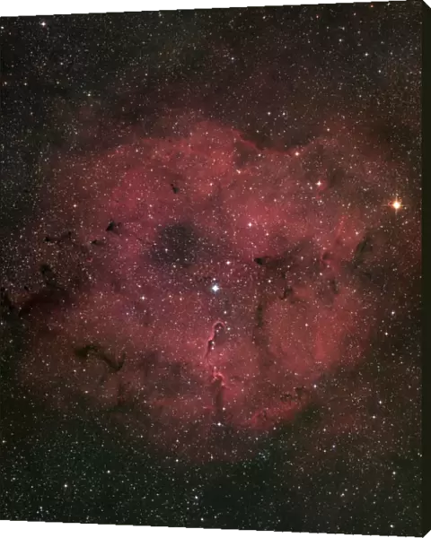 The large IC 1396 emission nebula complex