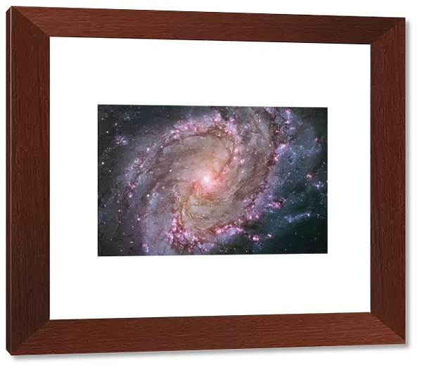 Barred spiral galaxy Messier 83