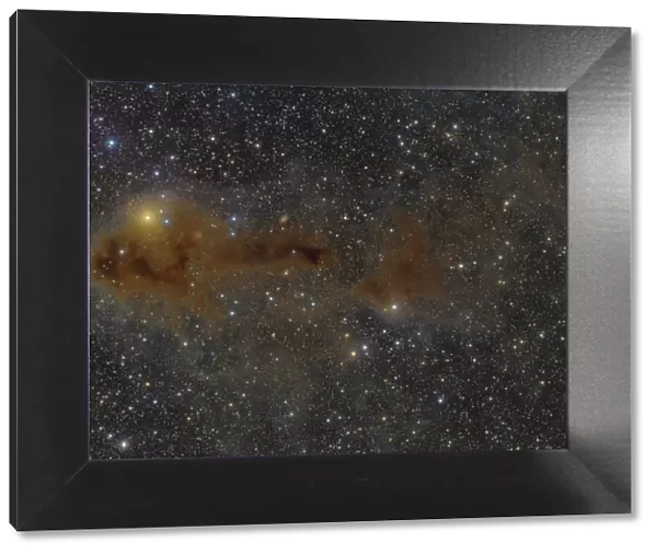 A dark nebula in Cepheus