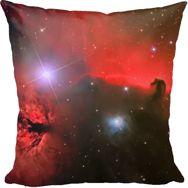 The Horsehead Nebula in the constellation Orion
