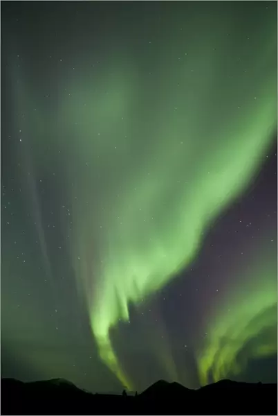Aurora borealis over mountain, Fish Lake, Yukon, Canada