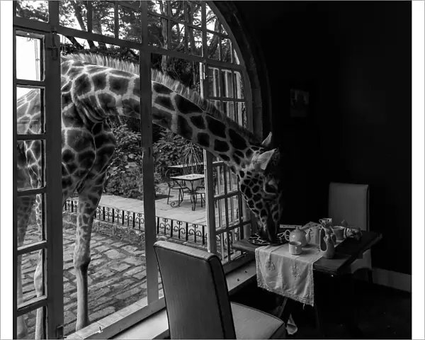 Giraffe Manor in kenya