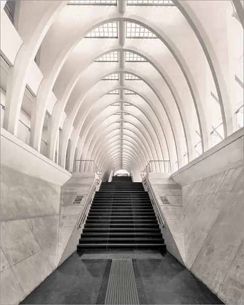 Inside Calatrava
