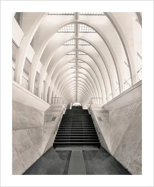 Inside Calatrava