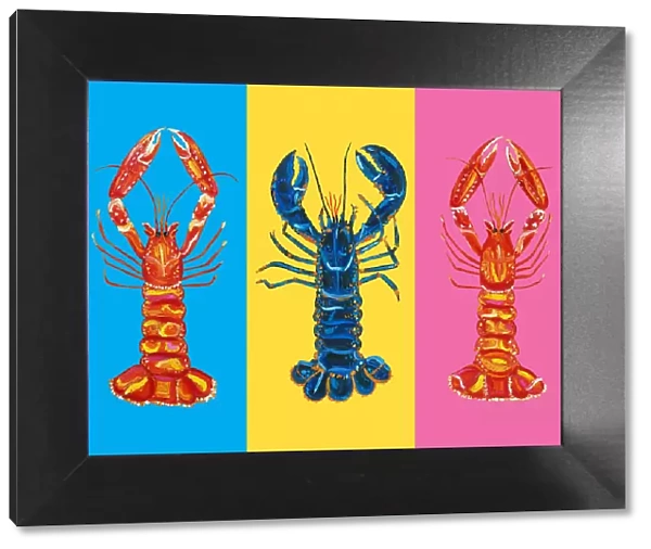 Lobster Langoustines Pop Art