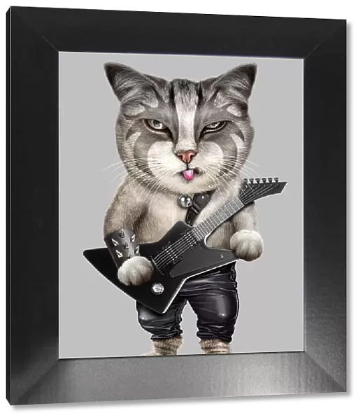 heavy metal cat