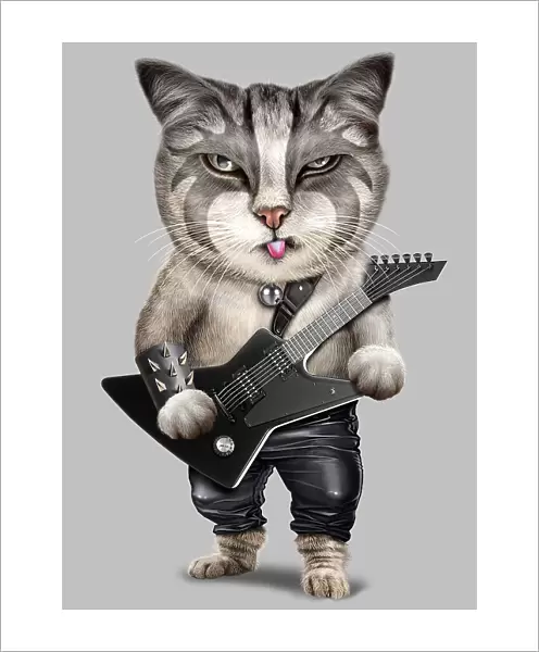 heavy metal cat