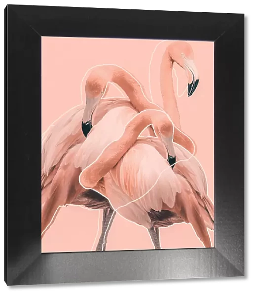 Flamingos nr. 1