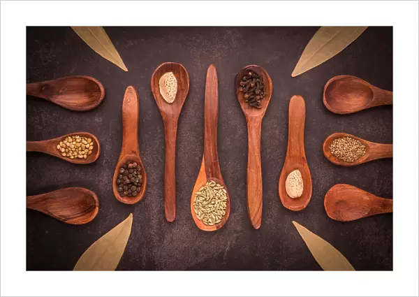 Spoons & Spices