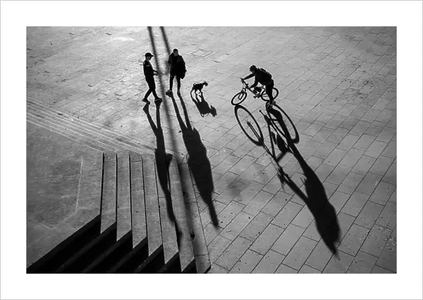 Two mans dog and cyclist