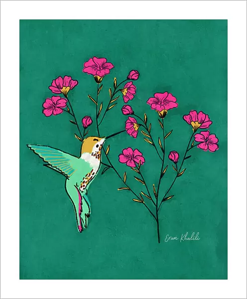 Hummingbird Erum Khalili.png