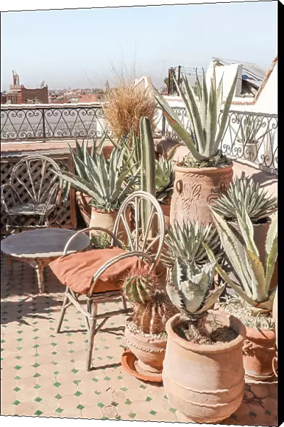 Rooftop in Marrakech