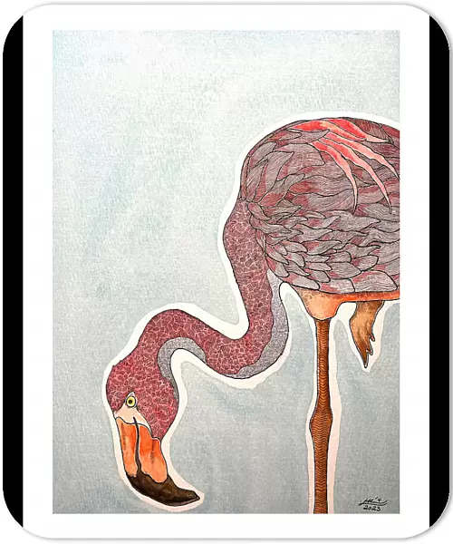 Flamingo. Max Lundén