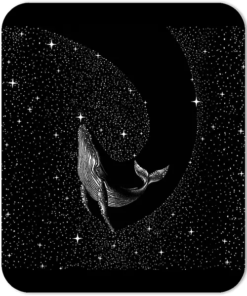 Starry whale (Black Version)