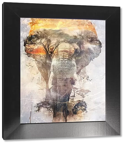 Elephant Africa Wild Animal Vintage Illustration Art 03