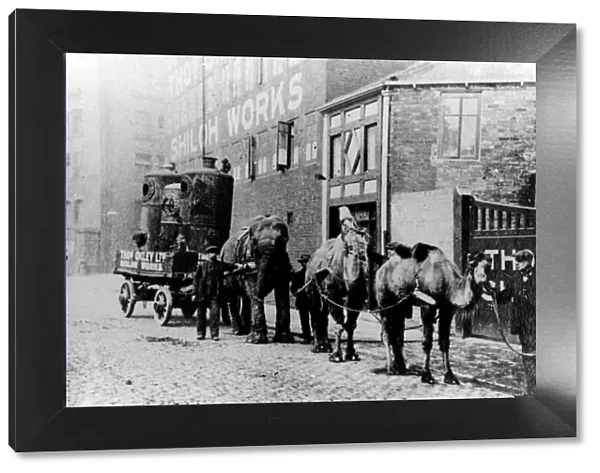 On war Service for Thomas Oxley Ltd, Shiloh Wheel, Stanley Street, 1914