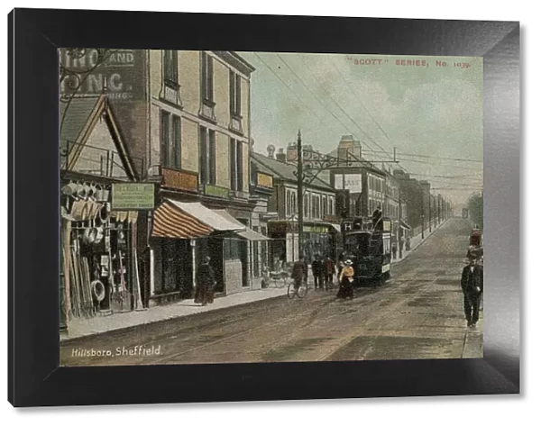 Langsett Road, Hillsborough, Sheffield, c. 1900