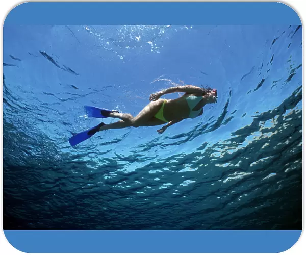 Free diver exploring blue water beside coral reef, Sinai, Egypt, Red Sea Model released