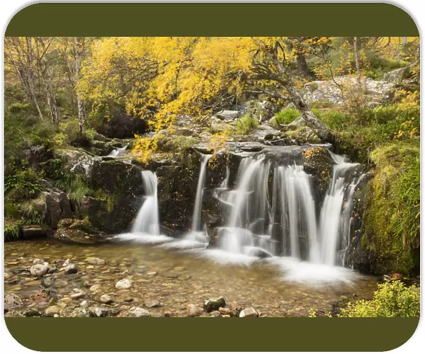 Waterfall on wooded hillside in autumn, Glenfeshie, Cairngorms National Park, Scotland