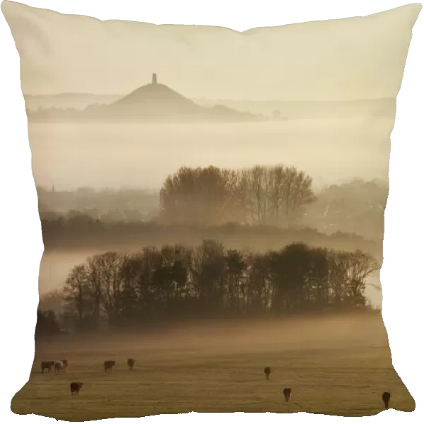 View towards Glastonbury tor from Walton Hill at dawn, Somerset Levels, Somerset