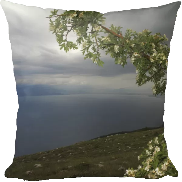View from Mount Baba of Lake Ohrid, Galicica National Park, Macedonia, June 2009