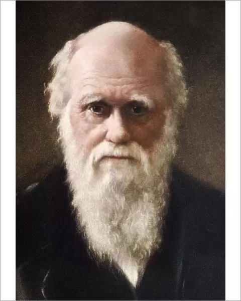 1881 portrait of Charles Robert Darwin