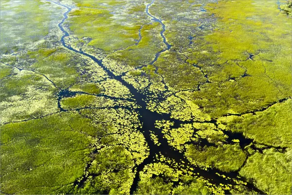 RF- Aerial view of the Okavango delta, Botswana, May 2010