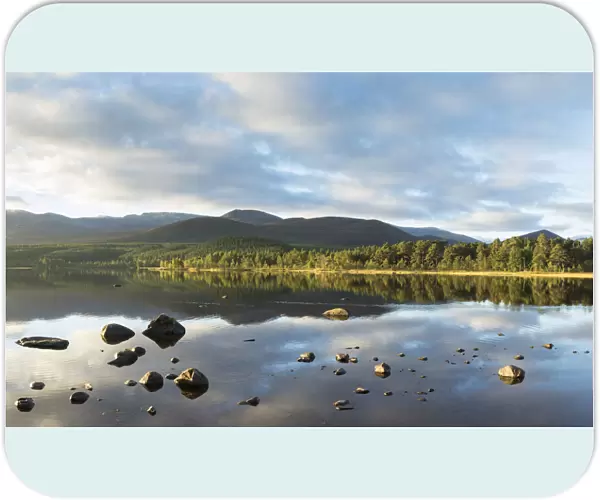 Pine forest and mountains reflected in Loch Morlich, Rothiemurchus, Cairngorms National Park