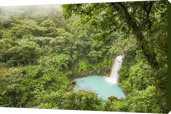 View of the Rio Celeste waterfall, tropical rainforest of Tenorio Volcano National Park
